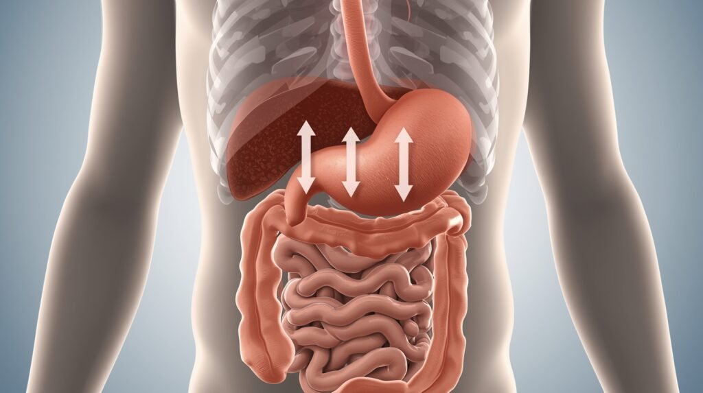 Gas buildup in the upper stomach pushing the diaphragm upward and creating pressure in the chest