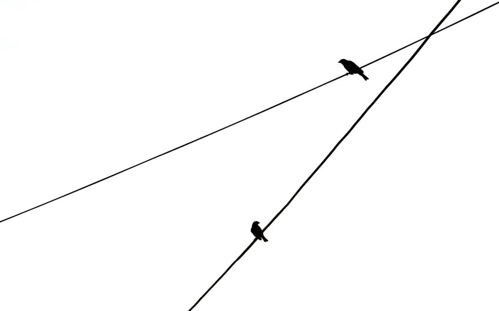 Polynomial graph showing which graph shows the same end behavior as the graph of f(x) = 2x⁶ – 2x² – 5, highlighting upward end behavior on both sides.