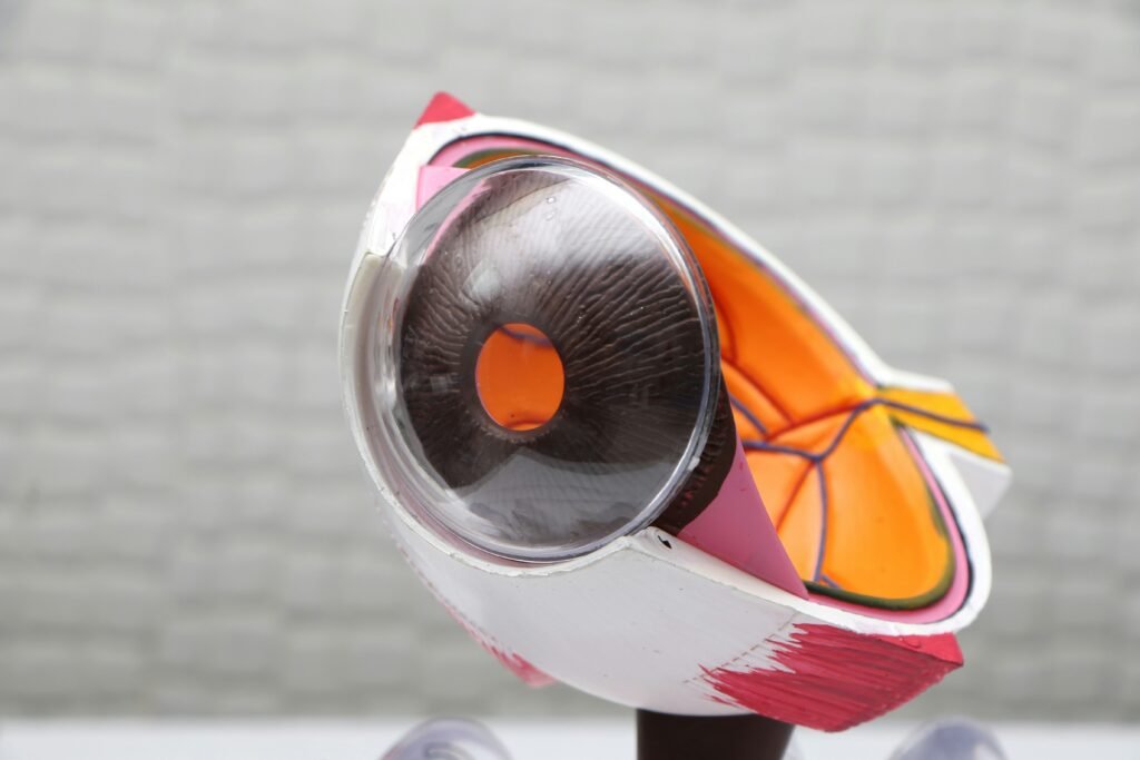 meni care plus contact lens care product 250 ml multipurpose solution for daily lens cleaning and safe storage