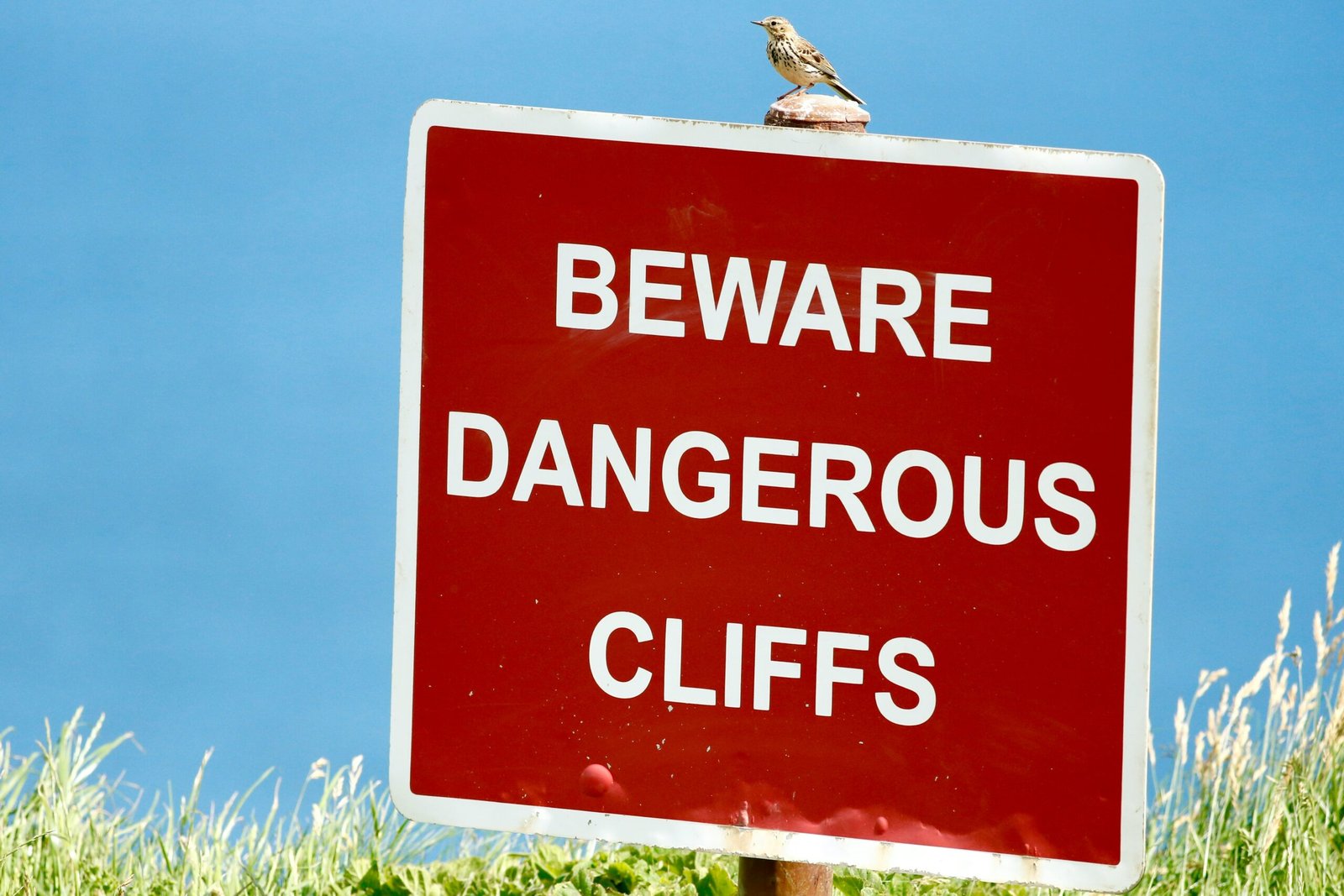 which is not a strategy for defusing potentially harmful situations? featuring two people calmly resolving a conflict through effective communication.