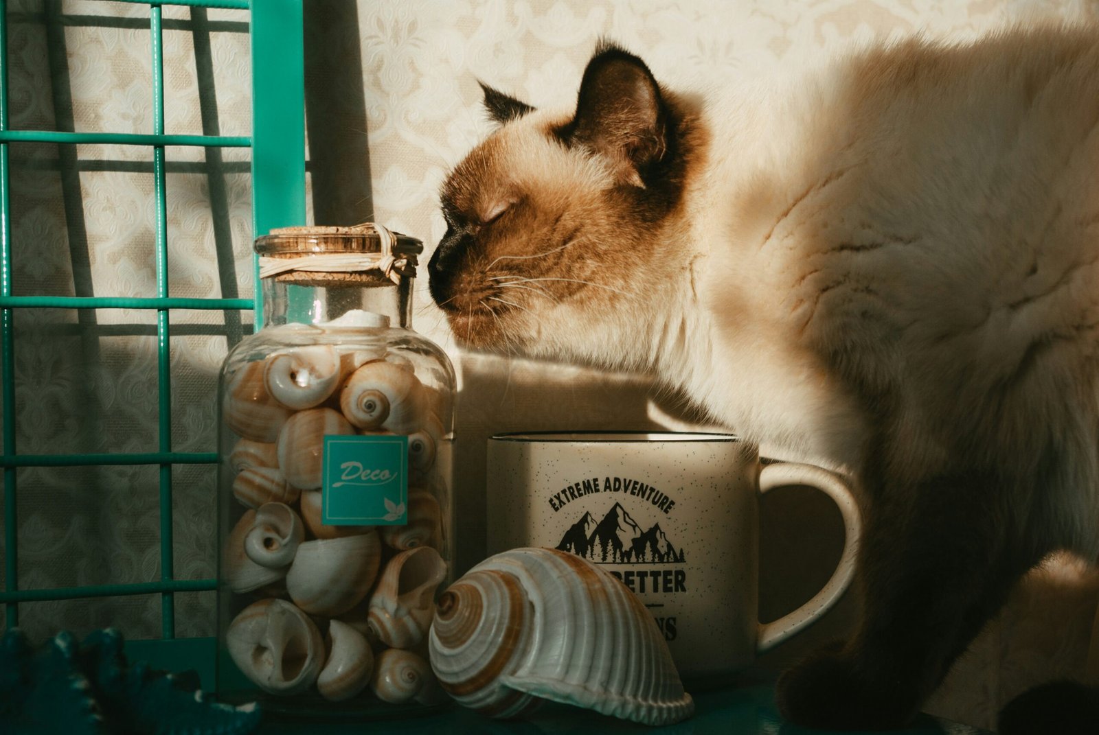 Why Do Cats Make Biscuits? featuring cat kneading, feline instincts, comfort behavior, territorial marking, and pet behavior explained.